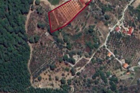 Продажа земельного участка  в Фетхие, Мугле, Турция, 4706м2, №225520 – фото 3
