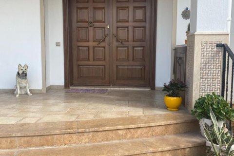 2+6 Villa i Fethiye, Mugla, Tyrkia Nr. 223191 - 4