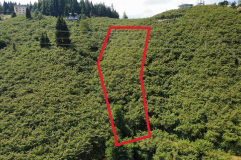 Продажа земельного участка в Арсине, Трабзоне, Турция, №232192 – фото 6
