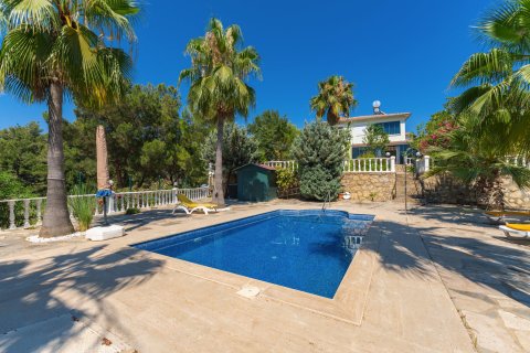 i Alanya, Antalya, Turkiet Nr. 227726 - 3