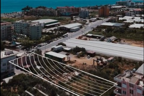 Tömma i Payallar, Alanya, Antalya, Turkiet Nr. 221431 - 2
