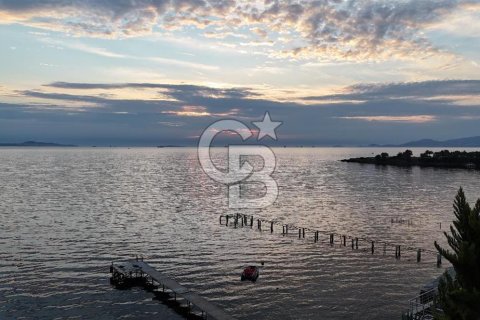 5+2 Villa i Izmir, Tyrkia Nr. 212713 - 18