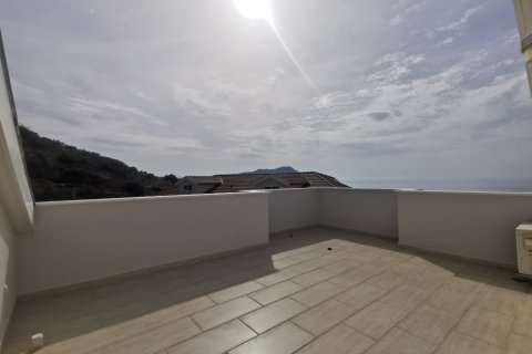 3+1 Penthäuser  in Alanya, Antalya, Türkei Nr. 92111 - 23