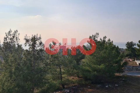 Villa for sale  in Akbuk, Aydin, Turkey, 3 bedrooms, 115m2, No. 107729 – photo 19
