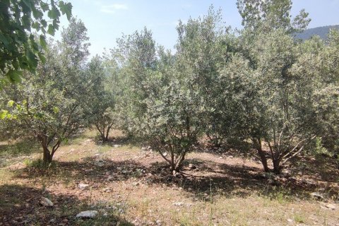 3+1 Villa  i Kalkan, Antalya, Tyrkia Nr. 140701 - 23