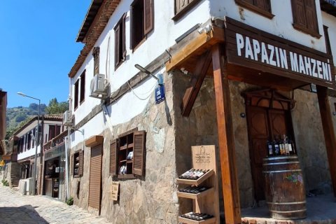 Kommersiella fastigheter i Selcuk, Izmir, Turkiet Nr. 223247 - 14