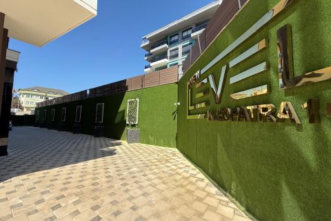1+1 Wohnung in Alanya, Antalya, Türkei Nr. 216406 - 9