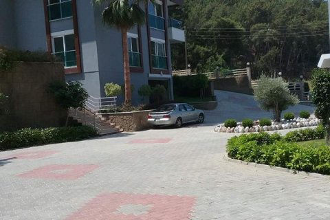 2+1 Lägenhet i Kargicak, Alanya, Antalya, Turkiet Nr. 100319 - 17