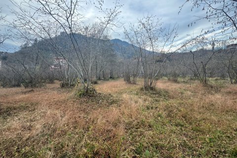 Продажа земельного участка в Арсине, Трабзоне, Турция, №228470 – фото 13