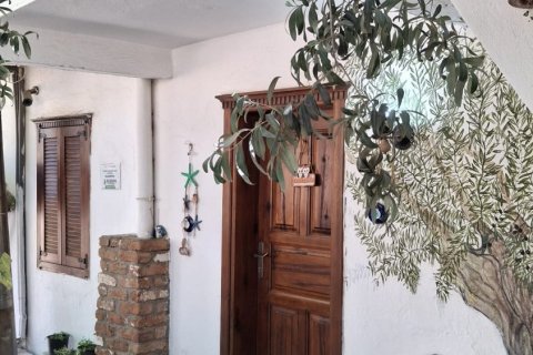 Kommersiella fastigheter i Selcuk, Izmir, Turkiet Nr. 223247 - 25