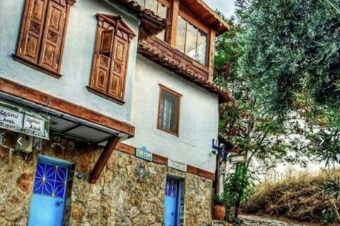 Kommersiella fastigheter i Selcuk, Izmir, Turkiet Nr. 223247 - 22