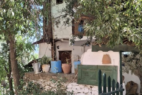 Kommersiella fastigheter i Selcuk, Izmir, Turkiet Nr. 223247 - 24