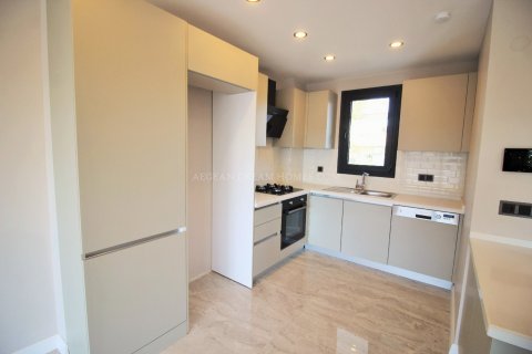 3+1 Villa  in Aydin, Türkei Nr. 66575 - 6