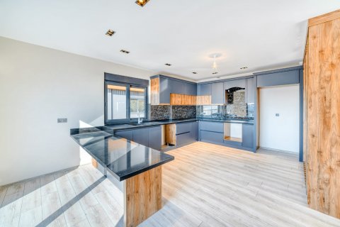 Villa for sale in Bektas, Alanya, Antalya, Turkey, 5 bedrooms, 480m2, No. 92563 – photo 5