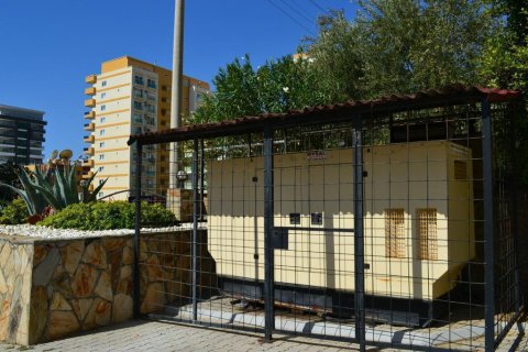 Apartment for sale  in Mahmutlar, Antalya, Turkey, 2 bedrooms, 130m2, No. 133887 – photo 21