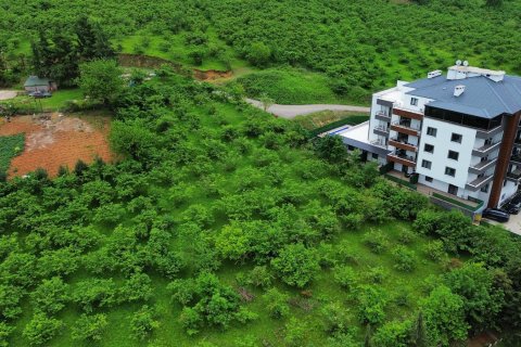1+1 Leilighet i Trabzon, Tyrkia Nr. 228471 - 9