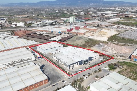 Commercial property for sale in Turgutlu, Manisa, Turkey, 9850m2, No. 223279 – photo 16