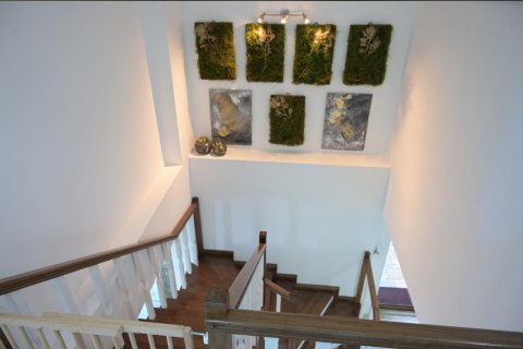 3+1 Penthäuser  in Alanya, Antalya, Türkei Nr. 100327 - 19