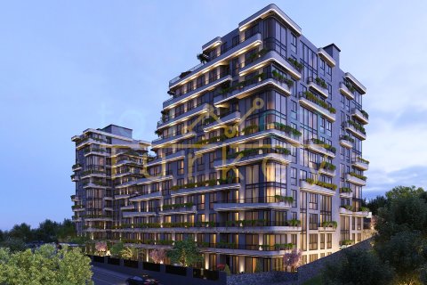2+0 Apartment  in Üsküdar, Istanbul, Turkey No. 227725