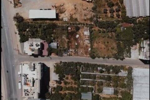Tömma i Payallar, Alanya, Antalya, Turkiet Nr. 221431 - 5