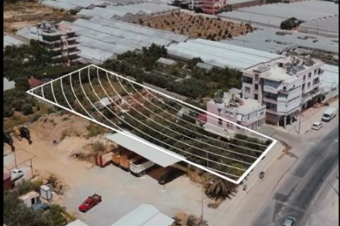 Tömma i Payallar, Alanya, Antalya, Turkiet Nr. 221431 - 4