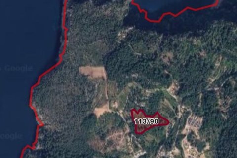 Tom i Fethiye, Mugla, Tyrkiet Nr. 227057 - 2