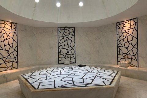 1+1 Lägenhet  i Kestel, Antalya, Turkiet Nr. 138749 - 13