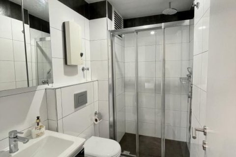 Daire 1+1 Kestel, Antalya, Türkiye №221481 - 12