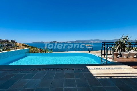 4+1 Villa  in Bodrum, Mugla, Turkey No. 213258