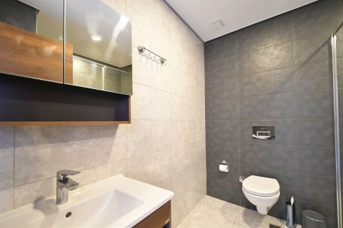 1+1 Wohnung  in Mahmutlar, Antalya, Türkei Nr. 227252 - 14