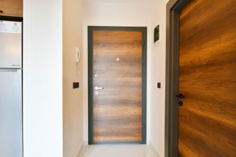 1+1 Wohnung  in Mahmutlar, Antalya, Türkei Nr. 227252 - 6