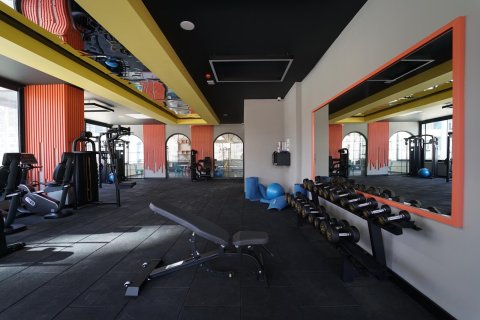1+1 Wohnung  in Mahmutlar, Antalya, Türkei Nr. 228889 - 17