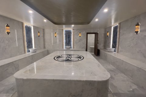 Daire  1+1  Oba, Antalya, Türkiye №228888 - 20