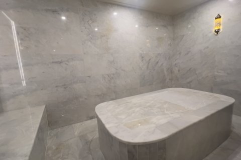 Daire  1+1  Oba, Antalya, Türkiye №228888 - 21