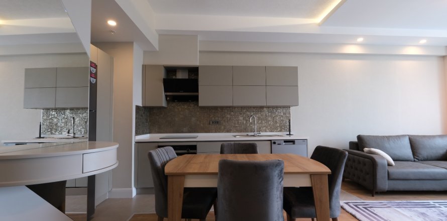1+1 Lejlighed i Antalya, Tyrkiet Nr. 224349