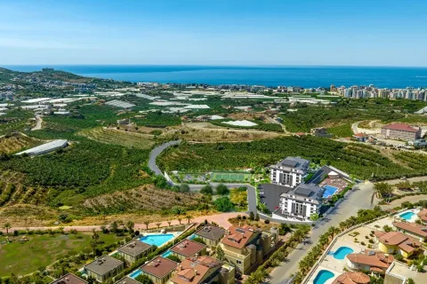 1+1 Wohnung in Alanya, Antalya, Türkei Nr. 223646 - 10