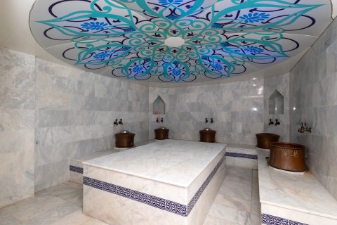 2+1 Leilighet i Konakli, Antalya, Tyrkia Nr. 219256 - 16