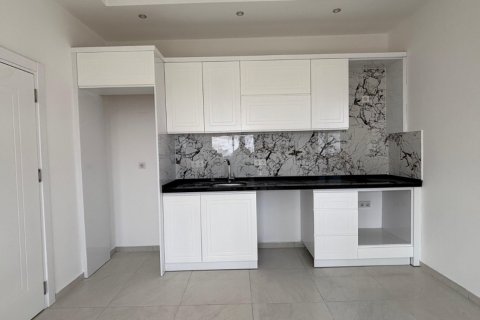 1+1 Wohnung  in Alanya, Antalya, Türkei Nr. 216860 - 11