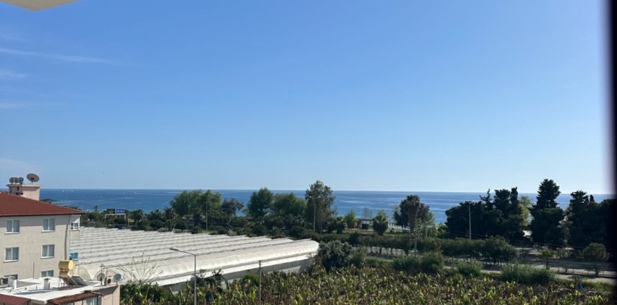 1+1 Wohnung  in Alanya, Antalya, Türkei Nr. 216860