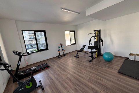 1+1 Wohnung  in Alanya, Antalya, Türkei Nr. 216860 - 20