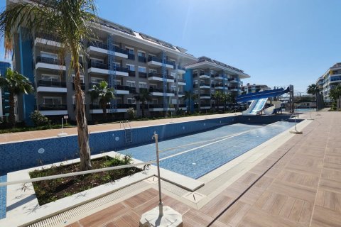 1+1 Wohnung in Alanya, Antalya, Türkei Nr. 216564 - 15
