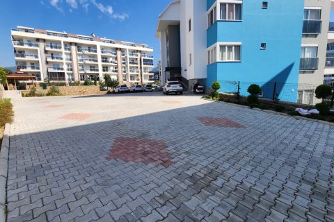 1+1 Wohnung in Alanya, Antalya, Türkei Nr. 216564 - 19
