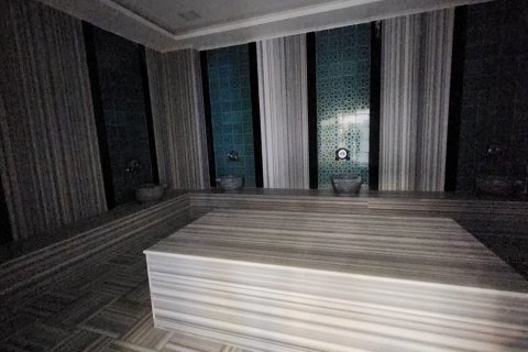 1+1 Wohnung in Alanya, Antalya, Türkei Nr. 216564 - 12