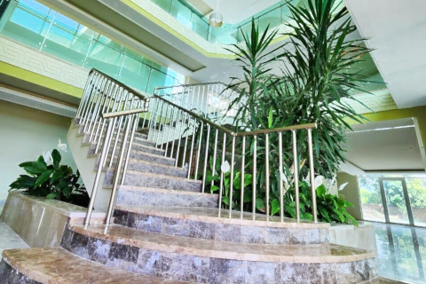 2+1 Leilighet i Alanya, Antalya, Tyrkia Nr. 216560 - 10