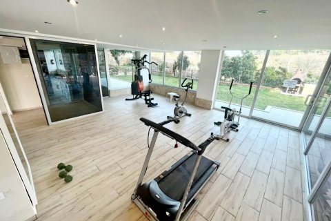 2+1 Leilighet i Alanya, Antalya, Tyrkia Nr. 216560 - 13