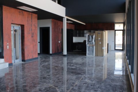 Villa 4+1 Alanya, Antalya, Türkiye №104578 - 10