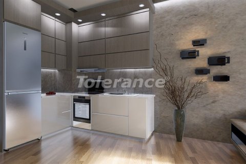 1+1 Lejlighed i Istanbul, Tyrkiet Nr. 213203 - 12