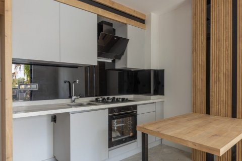 2+1 Wohnung  in Altintash, Aksu, Antalya, Türkei Nr. 206838 - 11