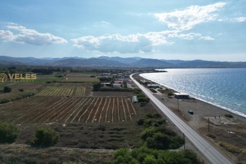 2+1 Lägenhet  i Gemikonagi, Guzelyurt,  Nr. 214328 - 21