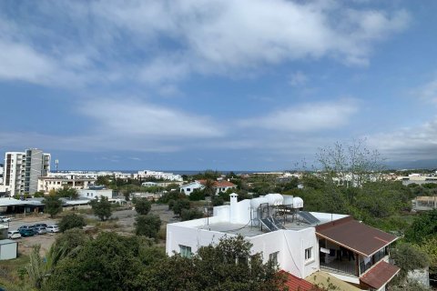 2+1 Leilighet i Dogankoy, Girne, Nr. 214553 - 6